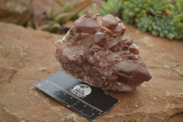 Natural Red Hematoid Quartz Specimens x 2 From Karoi, Zimbabwe - TopRock