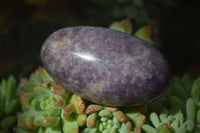 Polished Purple Lepidolite Free Forms  x 6 From Zimbabwe