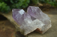 Natural Jacaranda Amethyst Clusters  x 4 From Zambia - Toprock Gemstones and Minerals 