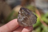 Natural Smokey Quartz Crystals x 12 From Malawi