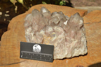 Natural Smokey Quartz Cluster (Minor Damage) x 1 From Luena, Congo - TopRock