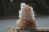 Natural White Spirit Quartz Clusters  x 2 From Boekenhouthoek, South Africa - Toprock Gemstones and Minerals 