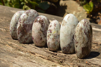 Polished Pink Tourmaline Rubellite Standing Free Forms  x 6 From Madagascar - TopRock