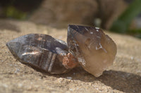 Natural Smokey Quartz Crystals x 12 From Malawi