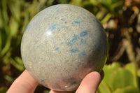 Polished Blue Spotted Spinel "Dalmatian Stone" Spheres x 2 From Madagascar - TopRock