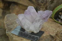 Natural Jacaranda Amethyst Clusters  x 4 From Zambia - Toprock Gemstones and Minerals 