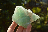 Natural Stone Sealed Watermelon Fluorite Cobbed Pieces  x 11 From Uis, Namibia - TopRock