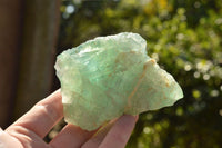 Natural Stone Sealed Watermelon Fluorite Cobbed Pieces  x 11 From Uis, Namibia - TopRock