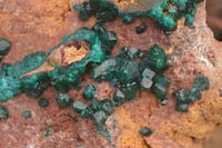 Natural Extra Large Emerald Dioptase Crystal Specimen  x 1 From Likasi, Congo