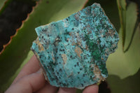 Natural Drusy Chrysocolla & Malachite Dolomite Specimens x 4 From Congo