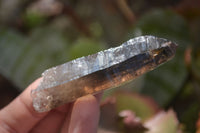 Natural Smokey Quartz Crystals x 12 From Malawi