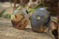 Polished Agate Free Forms x 6 From West Coast, Madagascar