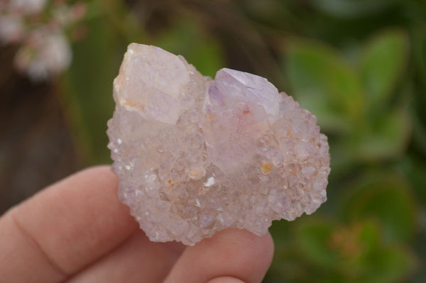 Natural Small Spirit Amethyst Quartz Crystals x 70 From Boekenhouthoek, South Africa