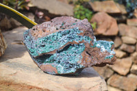 Natural Drusy Coated Ball Malachite On Dolomite Specimen x 1 From Likasi, Congo