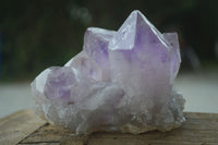 Natural Jacaranda Amethyst Clusters  x 4 From Zambia - Toprock Gemstones and Minerals 