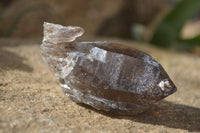 Natural Smokey Quartz Crystals x 12 From Malawi