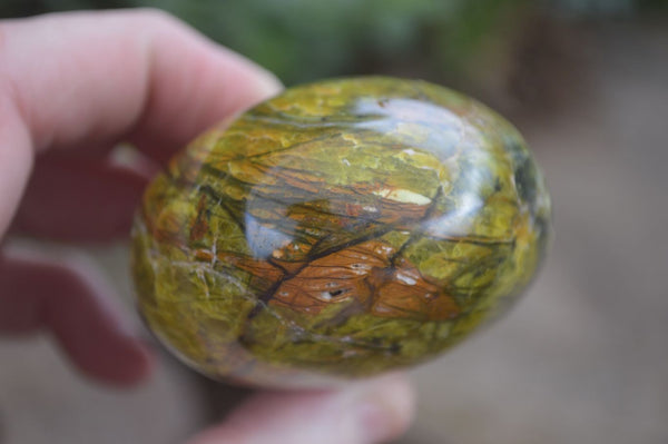 Polished Green Opal Free Forms  x 6 From Antsirabe, Madagascar - Toprock Gemstones and Minerals 