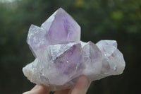 Natural Jacaranda Amethyst Clusters  x 4 From Zambia - Toprock Gemstones and Minerals 