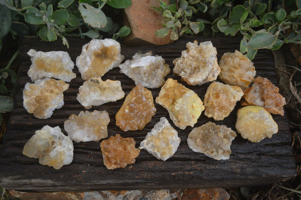 Natural Golden Limonite / Lemonite Quartz Clusters  x 24 From Zambia - Toprock Gemstones and Minerals 