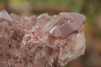 Natural Red Hematoid Quartz Specimens x 2 From Karoi, Zimbabwe - TopRock