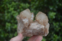 Natural Cascading White Phantom Smokey Quartz Clusters  x 4 From Luena, Congo - Toprock Gemstones and Minerals 