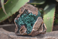 Natural Rare Ball Malachite On Drusy Quartz & Dolomite Matrix Specimens  x 2 From Kambove, Congo