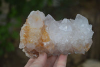 Natural White Spirit Quartz Clusters  x 2 From Boekenhouthoek, South Africa - Toprock Gemstones and Minerals 