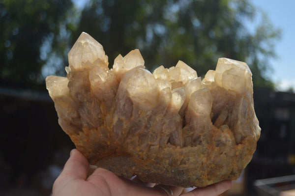 Natural Large Cascading White Phantom Smokey Quartz Cluster  x 1 From Luena, Congo - TopRock