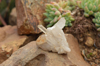 Natural Small Quartz Clusters  x 35 From Madagascar - TopRock