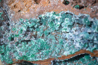 Natural Drusy Coated Ball Malachite On Dolomite Specimen x 1 From Likasi, Congo