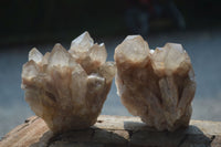 Natural Cascading White Phantom Smokey Quartz Clusters  x 4 From Luena, Congo - Toprock Gemstones and Minerals 