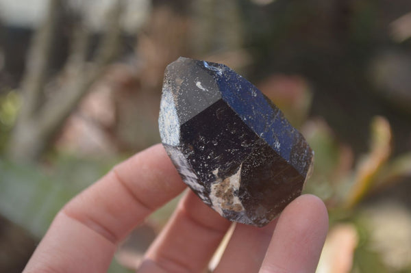 Natural Smokey Quartz Crystals x 12 From Malawi