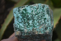 Natural Drusy Chrysocolla & Malachite Dolomite Specimens x 4 From Congo