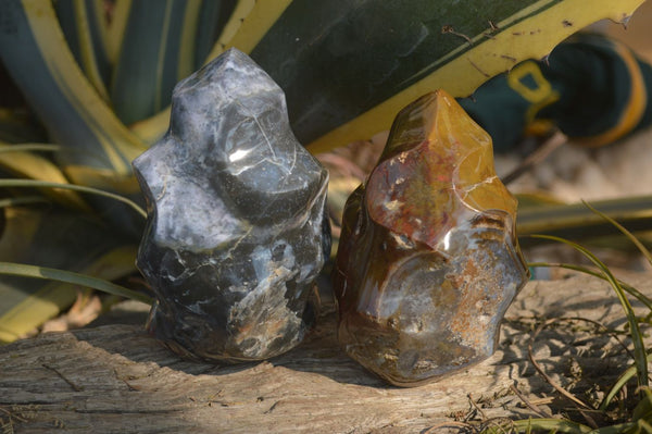 Polished Ocean Jasper Flame Sculptures x 2 From Madagascar