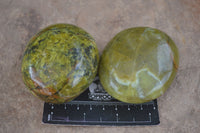 Polished Green Opal Free Forms  x 6 From Antsirabe, Madagascar - Toprock Gemstones and Minerals 