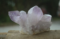 Natural Jacaranda Amethyst Clusters  x 4 From Zambia - Toprock Gemstones and Minerals 