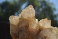 Natural Large Cascading White Phantom Smokey Quartz Cluster  x 1 From Luena, Congo - TopRock