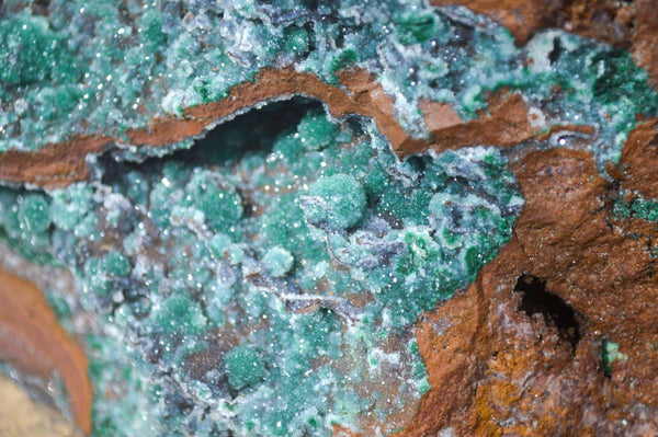 Natural Drusy Coated Ball Malachite On Dolomite Specimen x 1 From Likasi, Congo