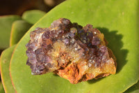 Natural Small Dark "Amethystos" Amethyst Clusters x 35 From Kwaggafontein, South Africa - TopRock