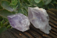 Natural Jacaranda Amethyst Quartz Clusters  x 12 From Zambia - Toprock Gemstones and Minerals 