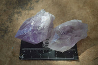 Natural Jacaranda Amethyst Quartz Clusters  x 12 From Zambia - Toprock Gemstones and Minerals 