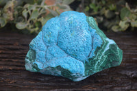 Natural Blue Chrysocolla On Silky Malachite Matrix Specimen x 1 From Kulukuluku, Congo - Toprock Gemstones and Minerals 