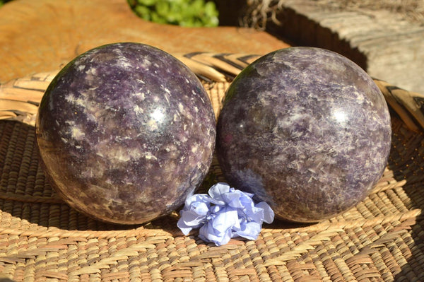 Polished Purple Lepidolite Spheres x 2 From Madagascar - TopRock