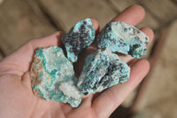 Natural Drusy Coated Chrysocolla & Malachite Dolomite Specimens x 9 From Likasi, Congo