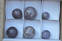 Polished Purple Lepidolite Spheres  x 6 From Madagascar - TopRock