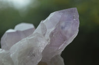 Natural Jacaranda Amethyst Clusters  x 4 From Zambia - Toprock Gemstones and Minerals 