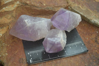 Polished Single Jacaranda Amethyst Crystals  x 12 From Zambia - Toprock Gemstones and Minerals 