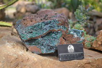 Natural Drusy Coated Ball Malachite On Dolomite Specimen x 1 From Likasi, Congo