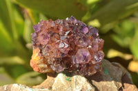 Natural Small Dark "Amethystos" Amethyst Clusters x 35 From Kwaggafontein, South Africa - TopRock