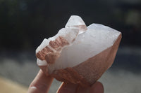 Natural Etched Hematoid Quartz Crystals  x 12 From Ambositra, Madagascar